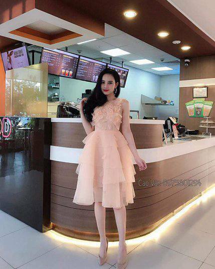 Đầm công chúa phối lưới kết hoa thiết kế sang chảnh