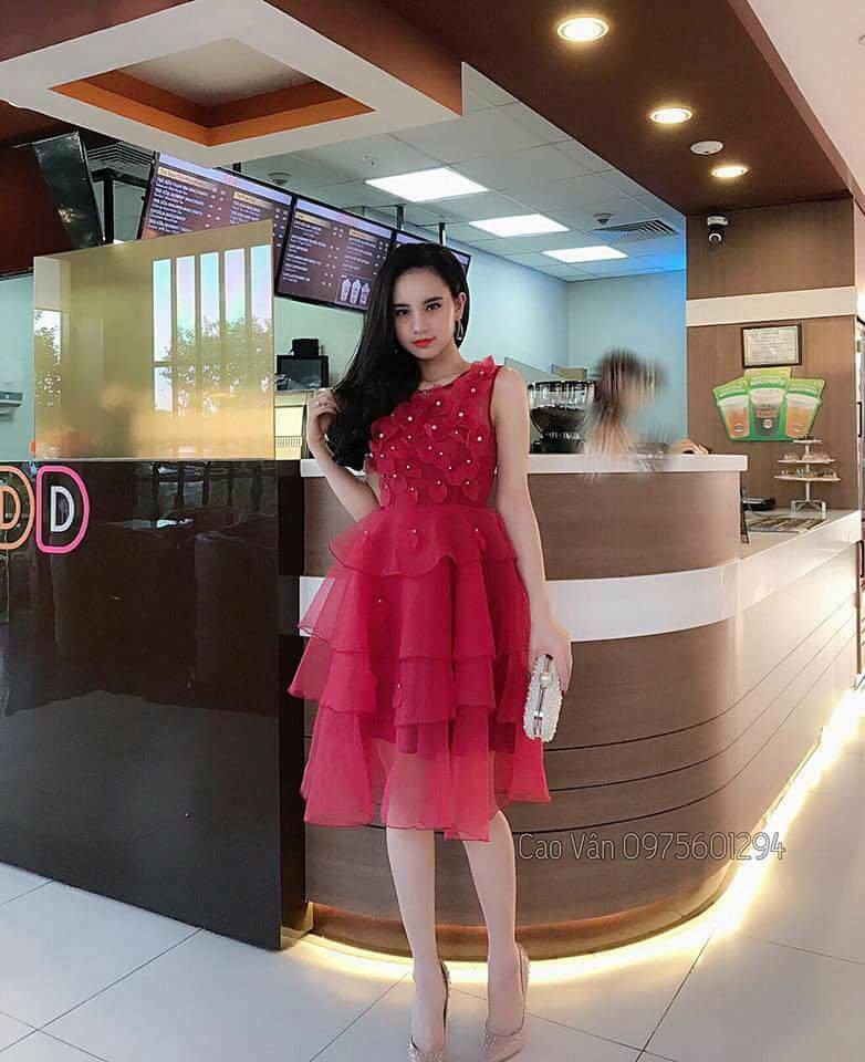 Đầm công chúa phối lưới kết hoa thiết kế sang chảnh  - Đầm xòe